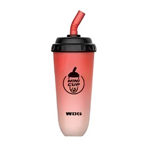 Wdg Mini Cup Wegwerp E-sigaretten 5000 Bladerdeeg _ Watermeloen Ijs 600mah