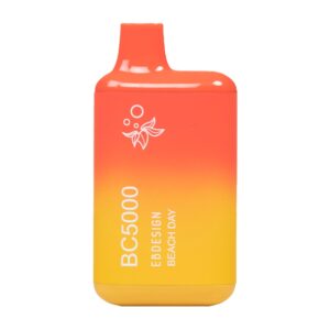 ELF BAR BC5000 Disposable Beach Day 5000 trekjes 13 ml