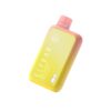ELF BAR BC10000 Disposable Peach Mango 10000 trekjes 18 ml